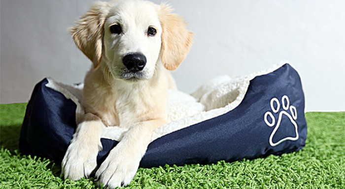 Mäkučký pelech MAJLO