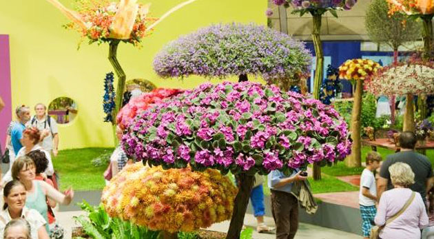 Výlet do mesta Tulln na výstavu kvetov a záhrad