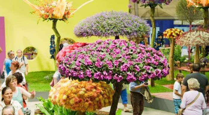 Výlet do mesta Tulln na výstavu kvetov a záhrad