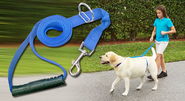 Špeciálne vodítko pre psíkov