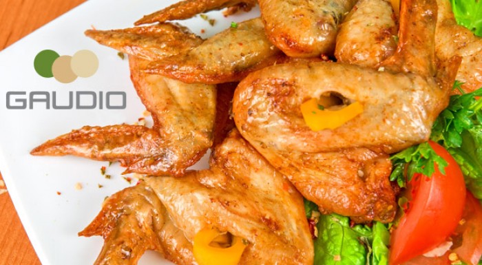 Grilované špeciality v Hoteli Gaudio