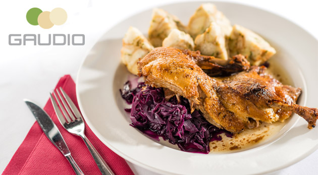 Kačacie hody v Hoteli Gaudio