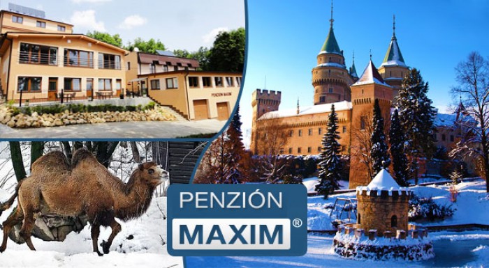 Wellness v Penzióne Maxim