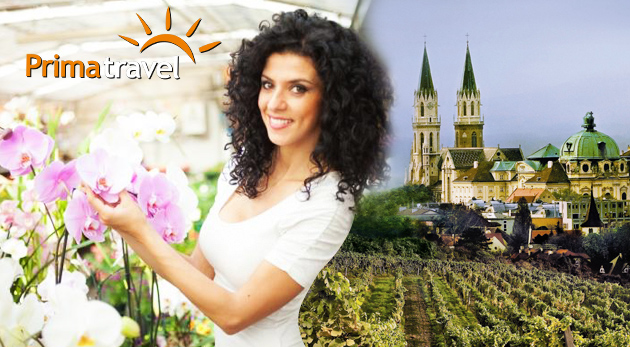 Najväčšia výstava orchideí a Klosterneuburg