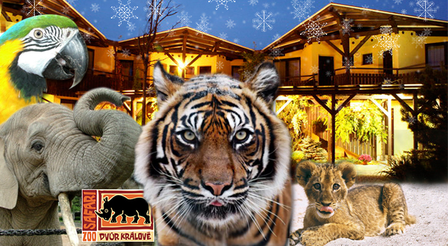 Afrika na vlastnej koži v ZOO Dvůr Králové