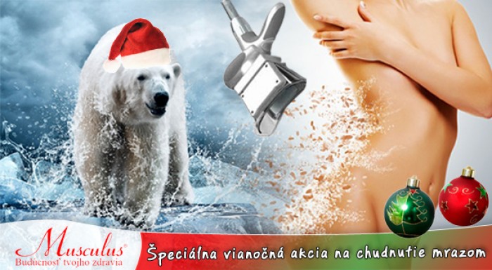 Vianočná kryolipolýza + power plate + nápoj = 115min účinného chudnutia. Svetová revolučná novinka.
