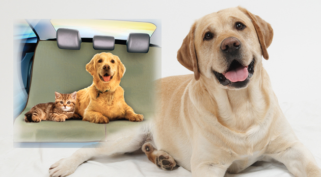 Nepremokavá deka pre zvieratko