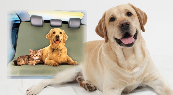 Nepremokavá deka pre zvieratko