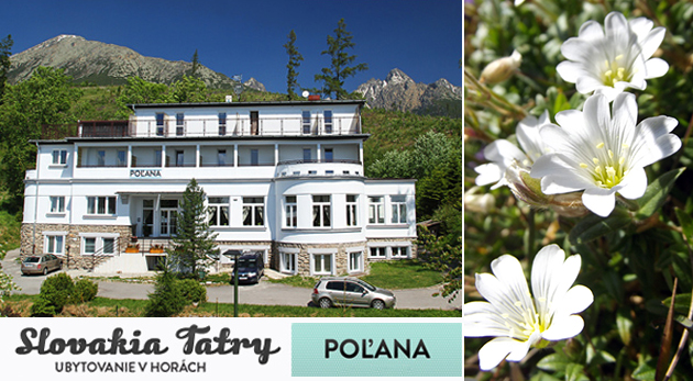 Dovolenka v lone Vysokých Tatier v Penzióne Poľana