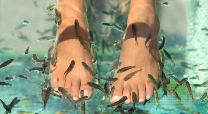 Biopedikúra rybičkami Garra Rufa v Košiciach