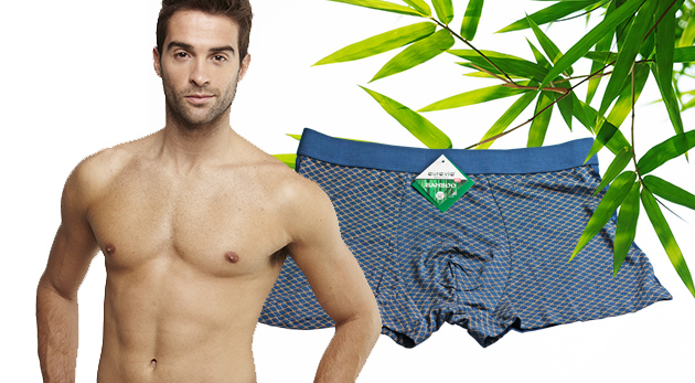 Dva kusy pánskych bambusových boxeriek