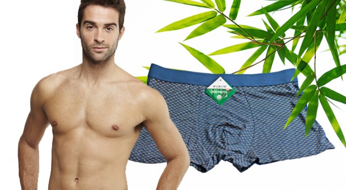 Dva kusy pánskych bambusových boxeriek