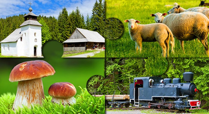 Pobyt v podhorskej osade na Kysuciach