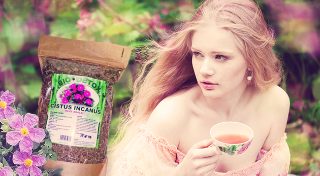 Výživový doplnok - čaj zo skalnej ruže