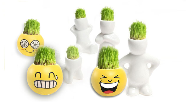 Veselí trávňaci - originálna bytová dekorácia