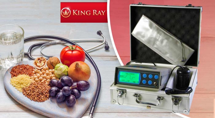 Detoxikačný prístroj