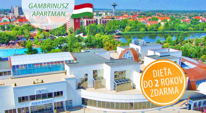 Relax pri maďarskom kúpeľnom komplexe Hungarospa