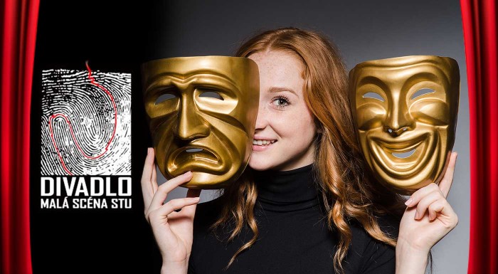 Vstupenka do divadla Malá scéna