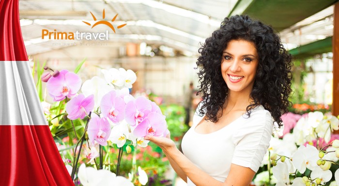 Výstava orchideí a kláštor v Klosterneuburgu