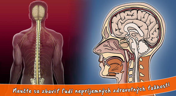 6 dňový kurz kraniosakrálnej terapie. Certifikované štúdium - pre masérov, fyzioterapeutov aj začiatočníkov.