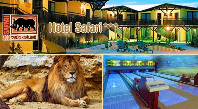 Prežite aspoň jednu noc v ZOO Dvůr Králové