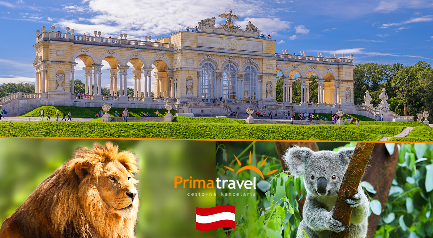 Jednodňový zájazd do Viedne - ZOO a Schönbrunn