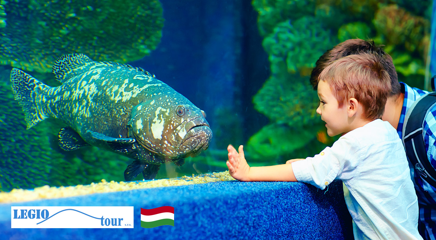 Tropicarium Budapešť a prehliadka mesta