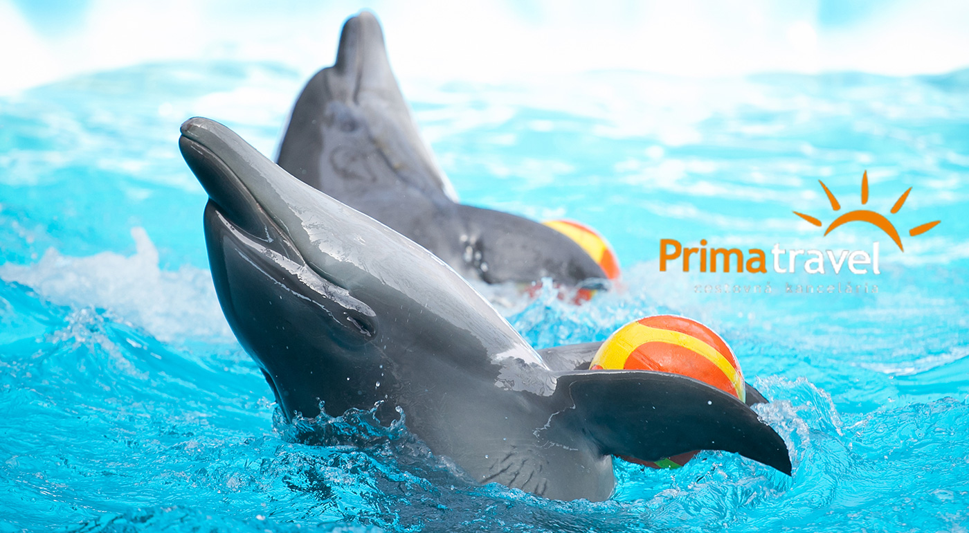 Zájazd do delfinária a ZOO v Norimbergu