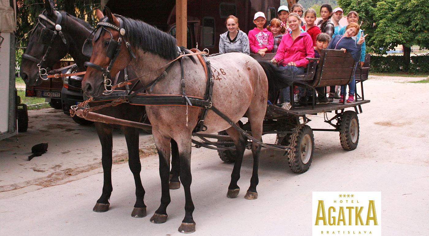 Jazda kočom do Šúrskeho lesa