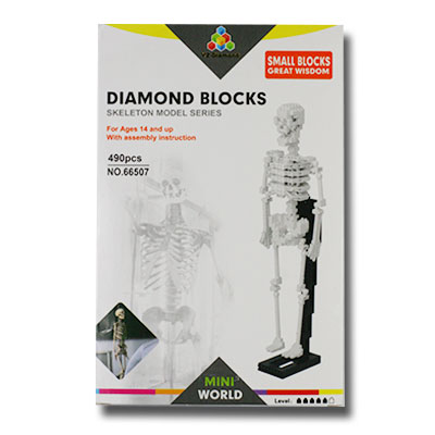 Stavebnica ľudská kostra