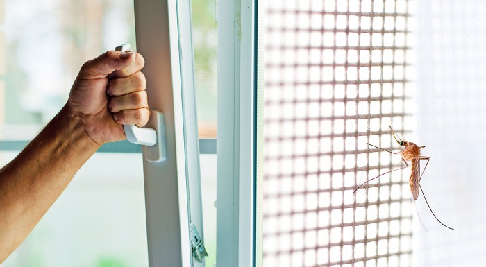 Sieťka na okná proti hmyzu