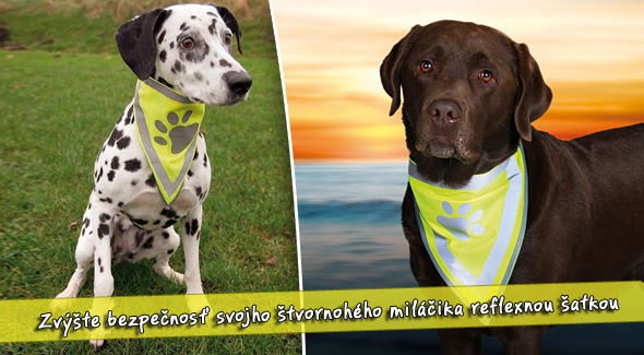 Bezpečnostná šatka pre psy - reflexná pomôcka do tmy.