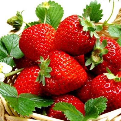 Balenie 200 semiačok previsnutých črepníkových jahôd