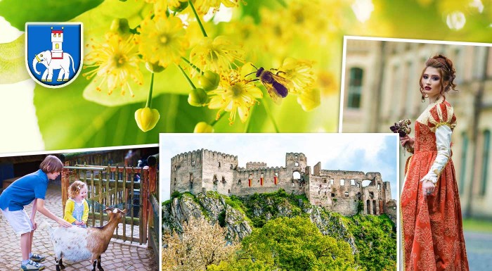 Pobyt na kopaniciach v Hoteli Lipa v Starej Turej