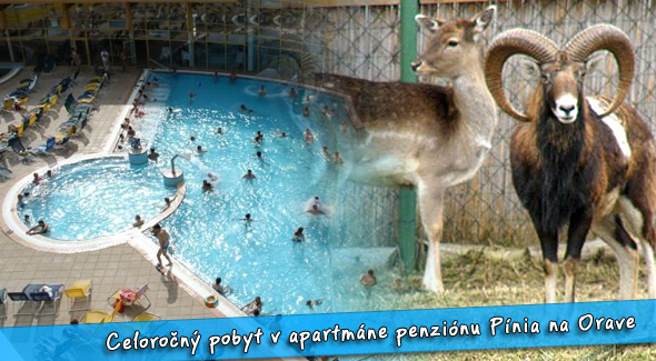 4 úžasné dni pre DVOCH + ďalšie bonusy. Apartmány v Penzióne Pínia.