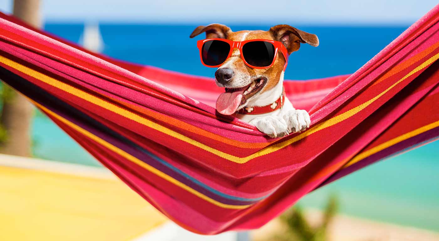 Hojdacie siete pre jednu alebo dve osoby