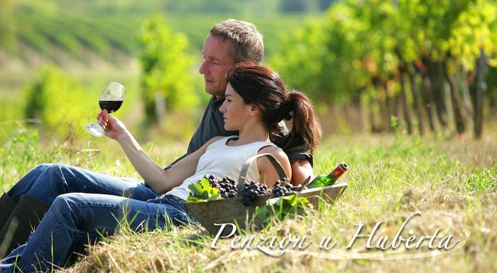 Vinársky pobyt v penzióne u Huberta v Znojme