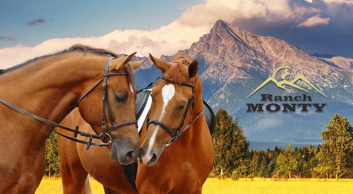 Pobyt v Tatrách s jazdou na koni