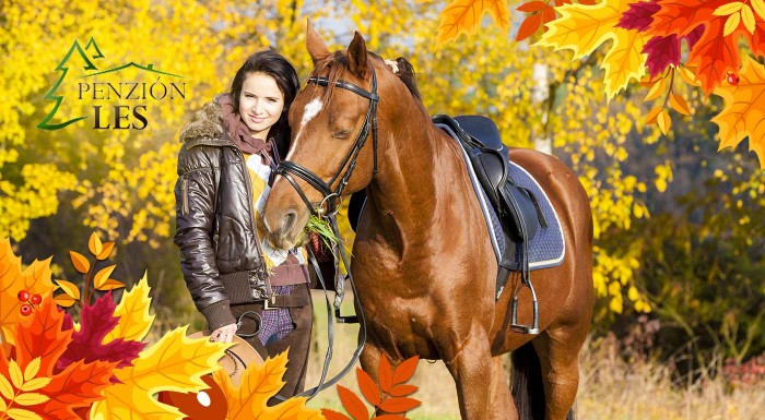 Pobyt v konskom sedle na Kysuciach v Penzióne Les