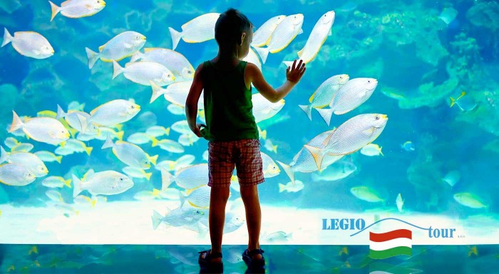 Tropicarium Budapešť a prehliadka mesta