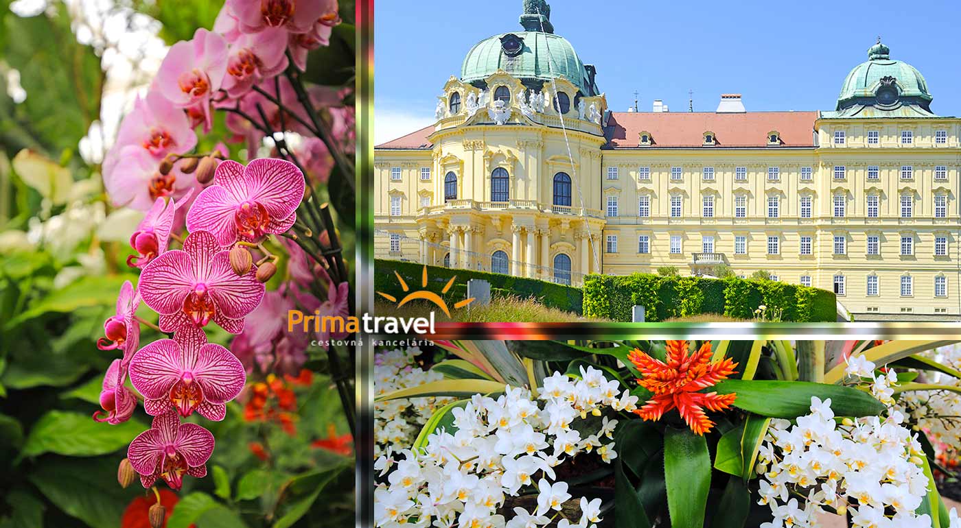 Najväčšia výstava orchideí v Rakúsku