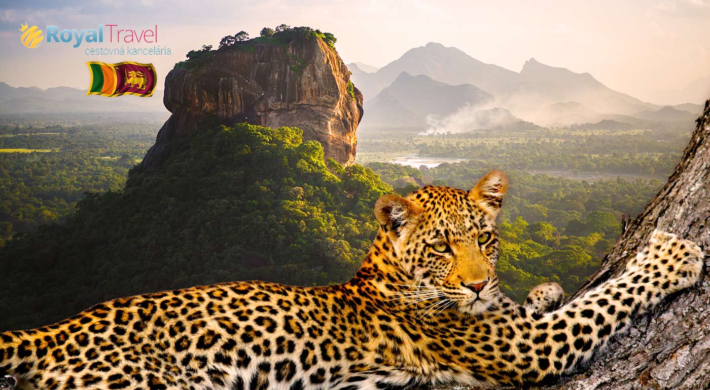 Očarujúca Srí Lanka počas 11-dňového zájazdu