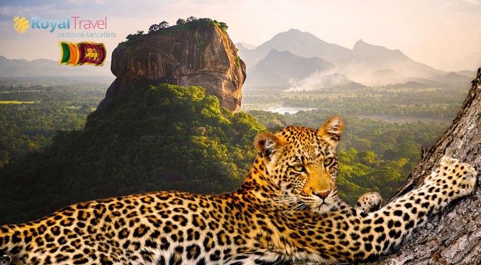 Očarujúca Srí Lanka počas 11-dňového zájazdu