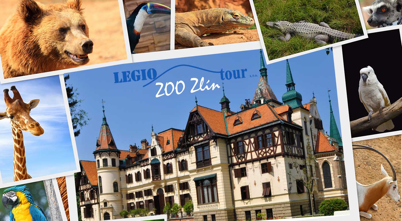 Poznávací zájazd do ZOO Zlín