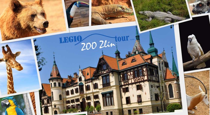 Poznávací zájazd do ZOO Zlín