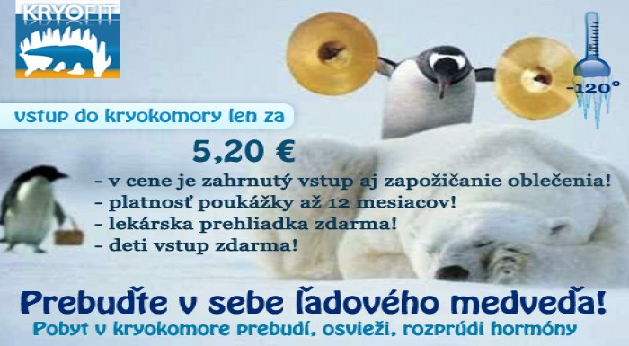 Prebuďte v sebe ľadového medveďa, posilníte tým sv