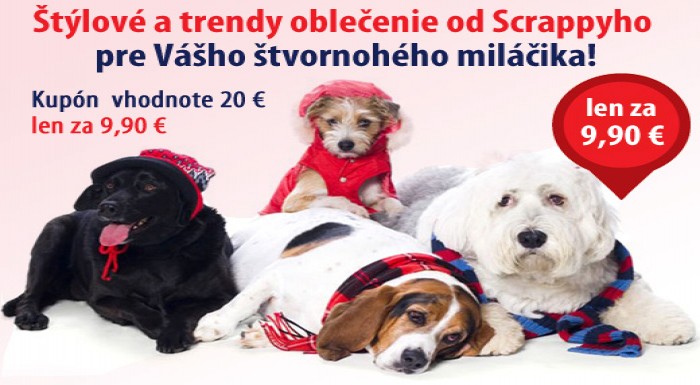 Oblečte svojho štvornohého miláčika do štýlového o