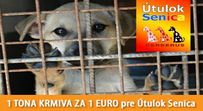 1 TONA KRMIVA ZA 1 EURO pre Útulok Senica.