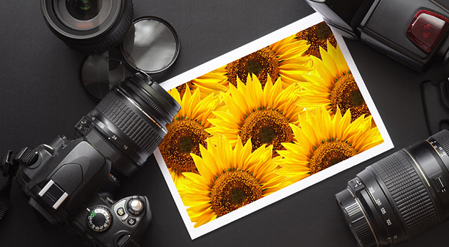 Jedinečne pestrá foto akcia pre všetkých! Mimoriad