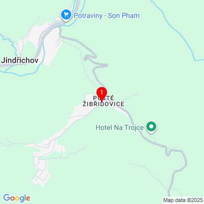 Pusté Žibřidovice 138,Jindřichov,788 23